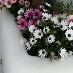 Lefteris Hotel Mykonos Town