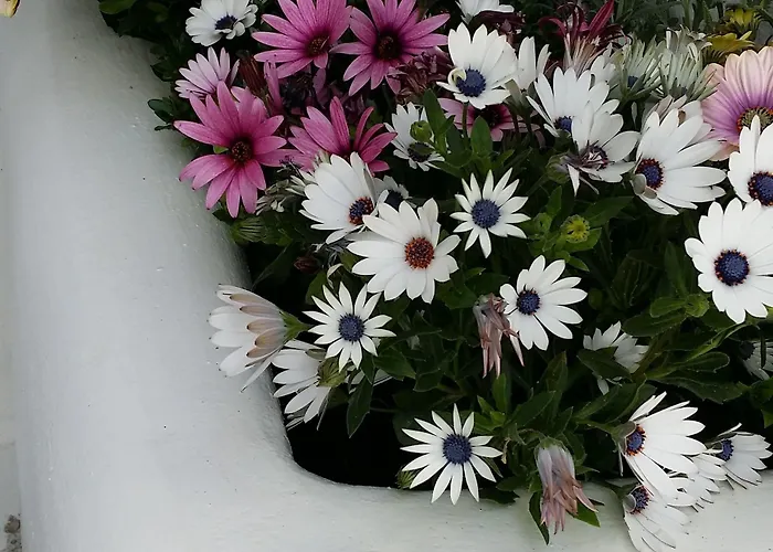 Lefteris מלון Mykonos Town